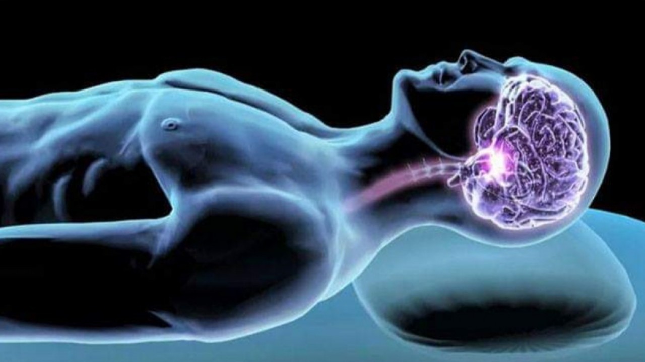 علماء الأعصاب يحذرون: الدماغ يأكل نفسه إذا لم نتمكن من النوم بشكل كاف