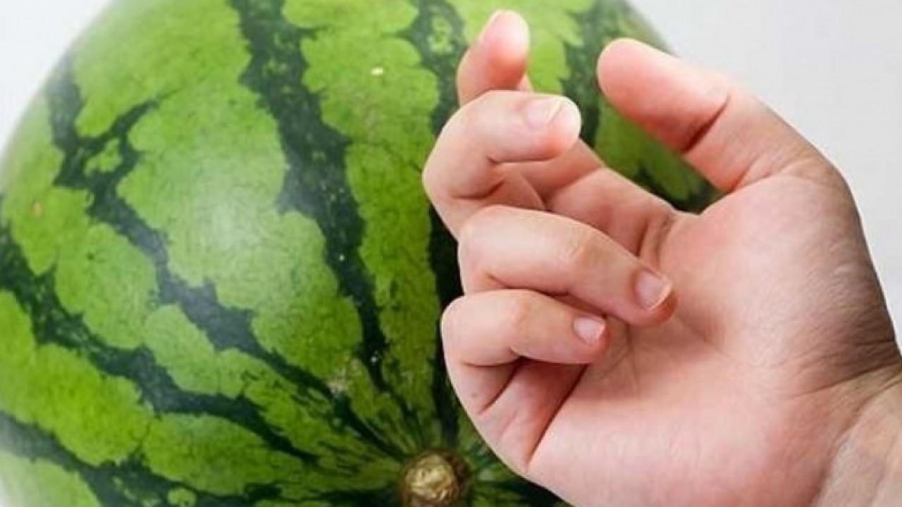 "غير الطبطبة" .. خمس طرق ناجحة لاختيار بطيخة حمراء