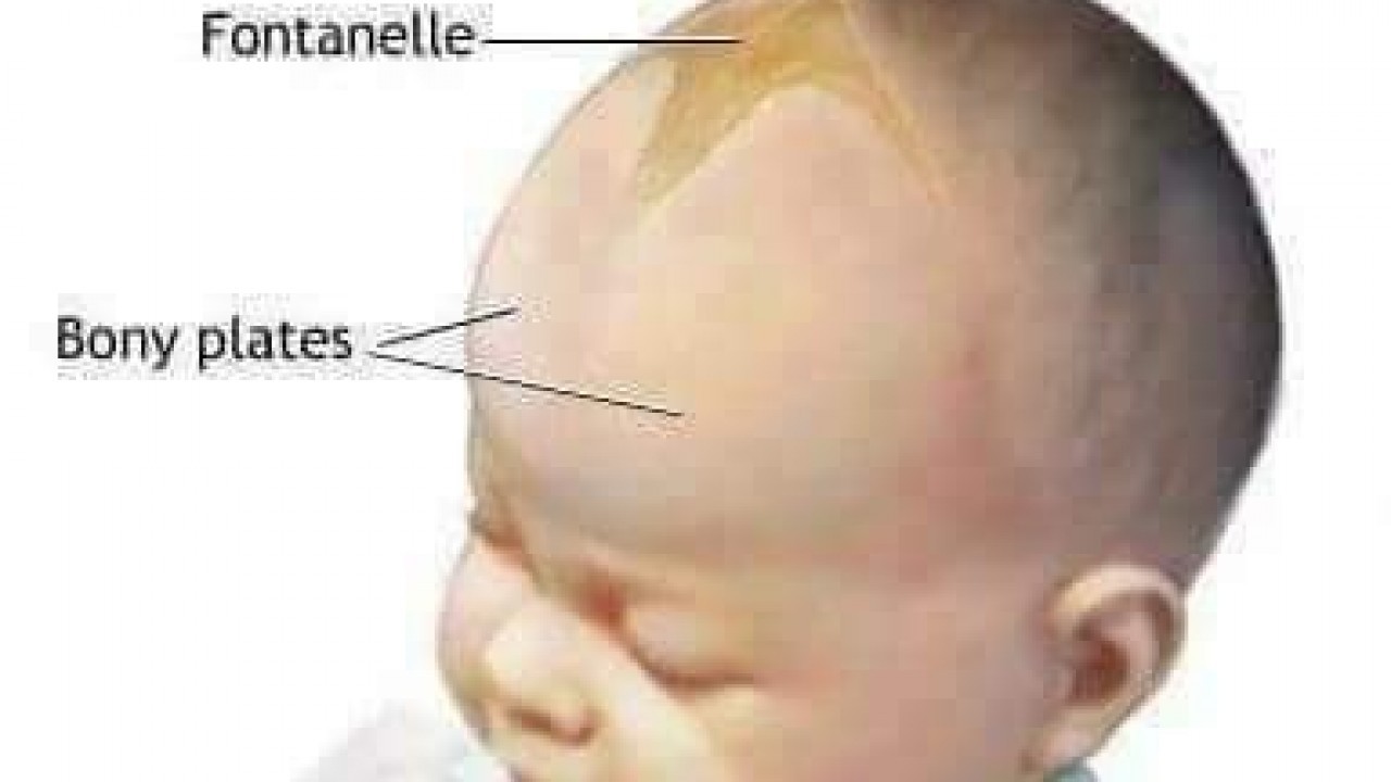 لمـاذا لا نستطيع أن نلمس قمة رأس طفل حديث الولادة ؟