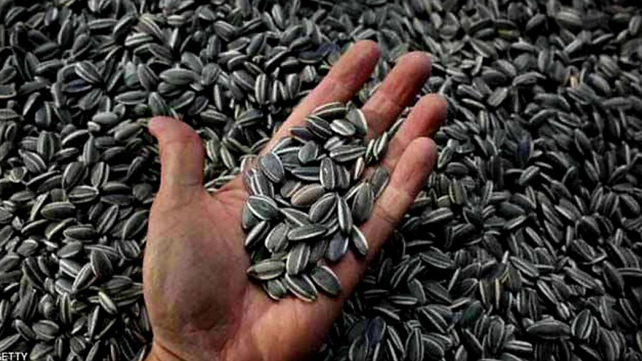 صغيرة لكن فوائدها كبيرة.. 6 بذور لا غنى لأجسامنا عنها